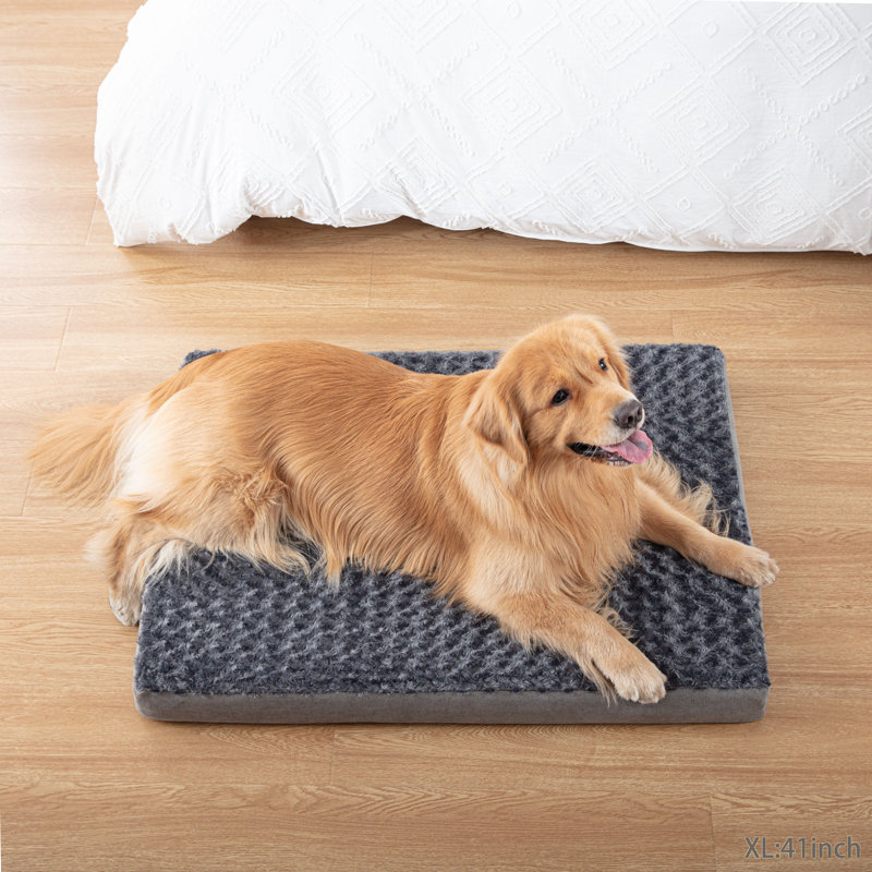 Tucker Murphy Pet™ Orthopedic Memory Foam Dog Bed, Cooling Dog Beds